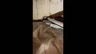 Chicago Ridge Drain Repair