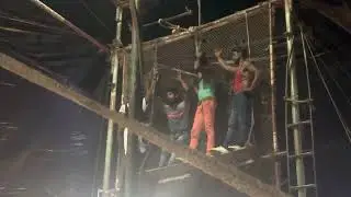 සර්කස් පැසිපියා 01