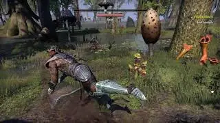 ESO Oddities of the West Gash