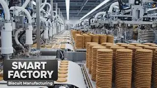 How Is Biscuit Made in a Smart Factory? | Full Manufacturing Process