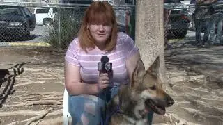 02-11-2022 Save A Pet - Kuka