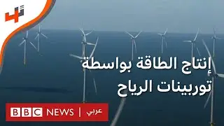 بلجيكا: إنتاج الطاقة بواسطة توربينات الرياح