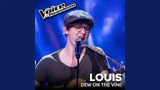 Dew On The Vine (The Voice Van Vlaanderen 2017 / Live)