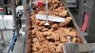 PPS 6 Cascading Weigh Fill Linear Scale System