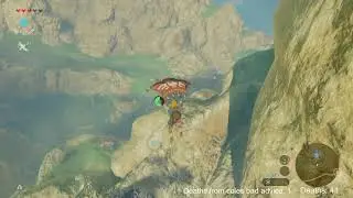 Mastermode 100% botw