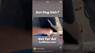Got Dog Hair???? #doghair #pethairremoval
