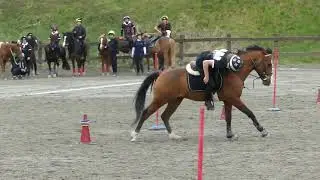 REBECCA e BILLI 2 tappa 4 regioni 2019 mounted games
