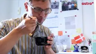 De gode bakterier