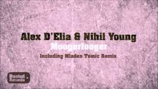 Alex D'Elia & Nihil Young - Moogerfooger (Original Mix)