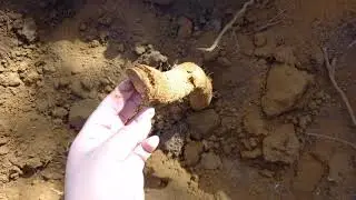 BUSCANDO AGUA CON VARILLAS DE RADIESTESIA