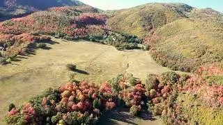 Sundance Utah Best Fall Colors 2024