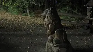 Canon R7. Low light. Picture style 