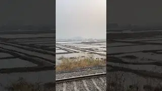 Salt pan of Vasai | #nature  | #shorts