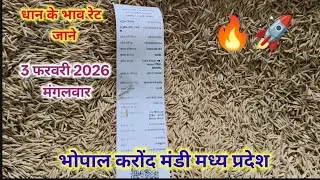 पूषा pb1 ,1886 ,1847,1718 ,2552 धान के भाव रेट जाने 3 फरवरी 2026 भोपाल मंडी#dhan_mandi_bhav_today 
