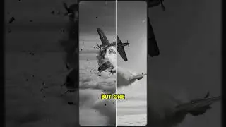 When German Cut His BF-17 In Half at 24000 Feet- He Kept Shooting All The Way Down #ww2 #oldhistory