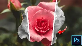 Create stunning posters in minutes! 🔥 Learn the Paper Tear Effect in Photoshop #photoshoptutorial