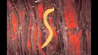 MOROWE - Muchy