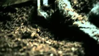 MILENRAMA - Cultura del Autoengaño (Videoclip Oficial)