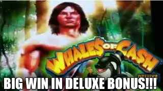 Winning WHALES OF CASH in the Jungle with TARZAN at San Manuel