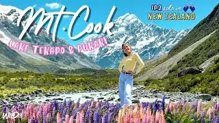 วิวสวยที่สุดในชีวิตที่ Mt.Cook ดูดอก Lupin บาน ณ ทะเลสาบ Tekapo & Pukaki🇳🇿 Solo in นิวซีแลนด์ EP.2