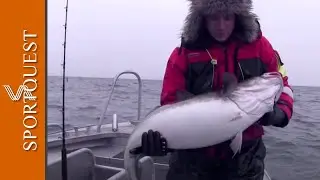World Record Skrei Cod Fishing Soroya Norway 🎣