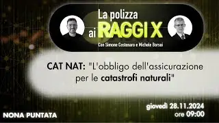 CAT NAT: 