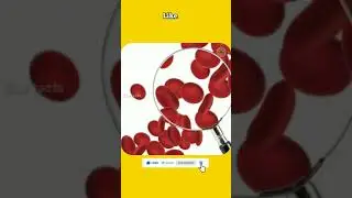 ⚡||Human blood facts⚡||Amazing facts telugu⚡||star facts telugu🌟#shorts