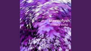 Double Echo