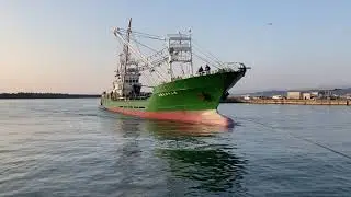 满载着鲭鱼返回港口　　まき網漁船の入港　与围网捕鱼船       November 2021 Purse seine fishing boats