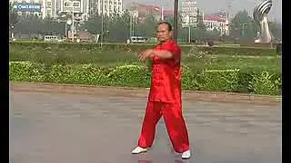 Lu-shi taijiq quan   卢氏太极拳简介