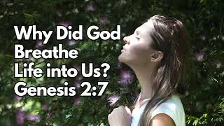Why Did God Breathe Life into Us? | Genesis 2:7 | Daily Devotion | Daily Bible Verse
