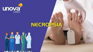 Curso de Necropsia Gratuito e Online da Unova