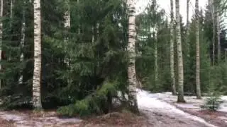 K&ouml;ppinen 