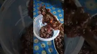 Dry plum pickle (Barakoli achar )