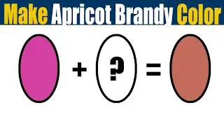 How To Make Apricot Brandy Color - What Color Mixing To Make Apricot Brandy