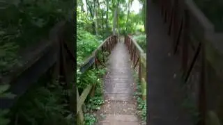 Takoma Park MD, beautiful Creek walk, Washington DC