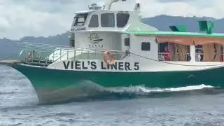 Viels 5 