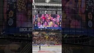 Skellefte&aring; AIK! SM-Guld! 2024