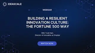 Webinar: Building a Resilient Innovation Culture &ndash; Insights from the Fortune 500