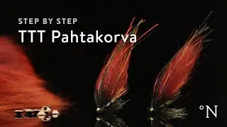 Fly Tying instruction on how to tie the TTT Pahtakorva Variant