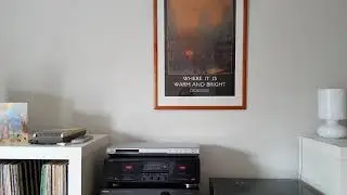 Waiting For The Love Bus - The Jazz Butcher Conspiracy (Off The Cuff Review)