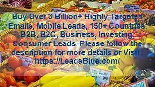 Where Can I Purchase The Algeria Business Email List Database