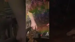 Forging a sgian dubh #blacksmith #folkart