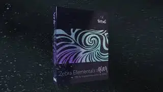 Zebra Elementals: AERA | Introduction