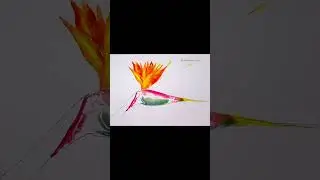 #watercolor #painting #strelitzia #art #drawing #drawingtutorial #creativelearning #creative #flower