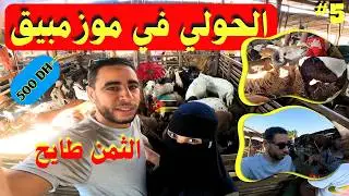 مشينا نشريو الحولي ..الثمن طايح على المغرب الرخا 500 درهم ايه