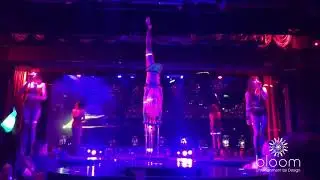 FEATURE ARTIST: Elise (Aerial Artist)  - Hand Balancing