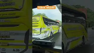 BUS TERBARU PARIWISATA ADIPUTRO JETBUS 5 #shorts #trending #youtubeshorts