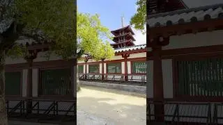 Japan's Original Buddhist Temple #japan #goshuin #御朱印 #buddhism #temple #shorts #osaka #first