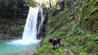 autour de la source de l'Ain avec un chien
